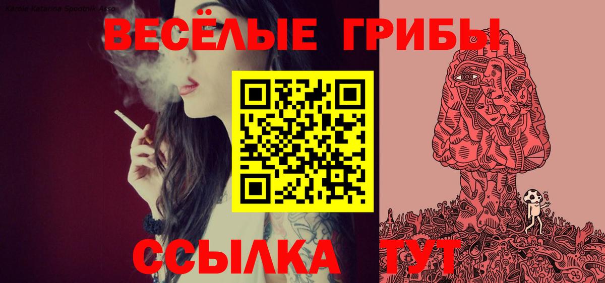 Псилоцибиновые грибы ЛСД  Галлюциногенные грибы мицелий  Вход с VPN  Шахты 